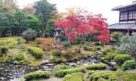 光雲寺庭園