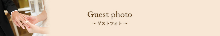 guest photo`QXgtHg`