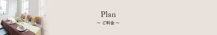 plan``